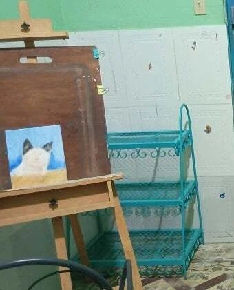 step1